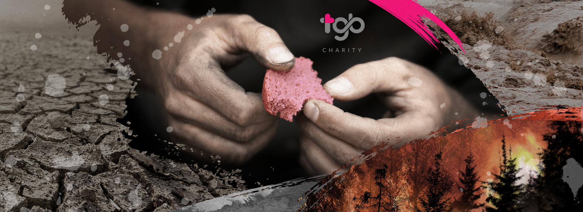 TGB Charity: The risk of global food crisis is rising under climate change.
